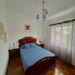 Zizi