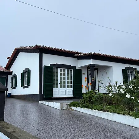 Zizi Biscoitos (Terceira)