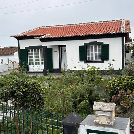 Zizi * Biscoitos (Terceira)