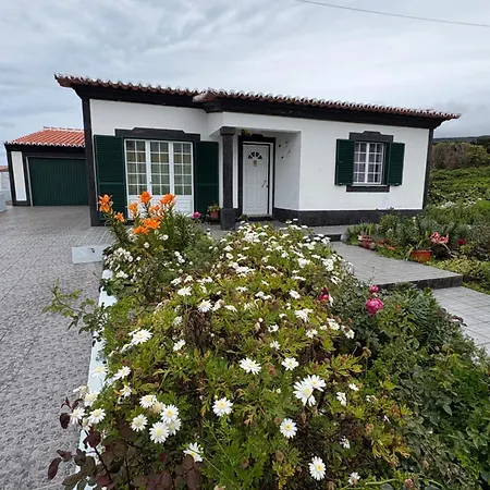 Tatil Evi Zizi Biscoitos (Terceira)