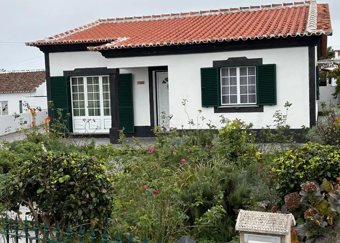 Zizi * Biscoitos (Terceira)